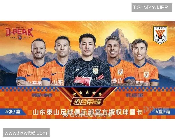 足球明星卡片价格查询指南及市场趋势分析